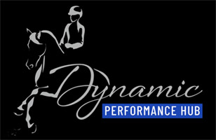 DynamicPerformanceHub200